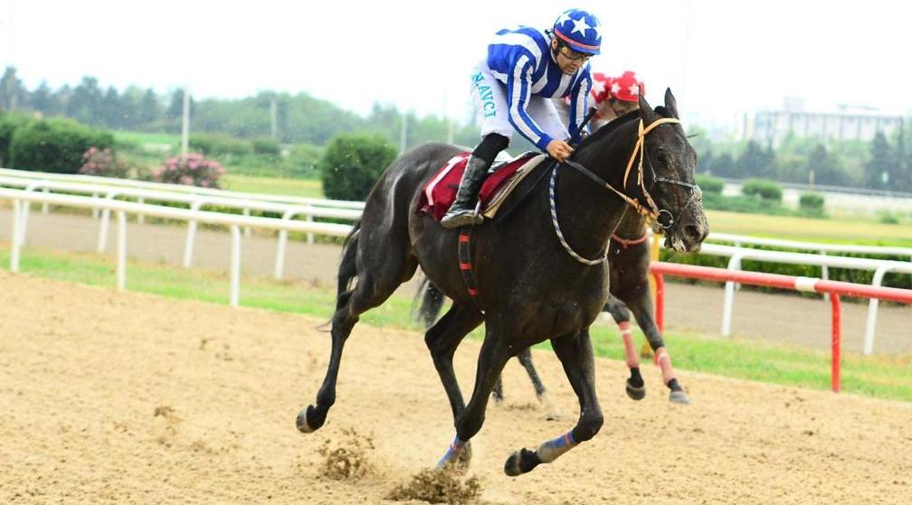 TSYD Bursa Koşusu’nun Galibi Litecoin