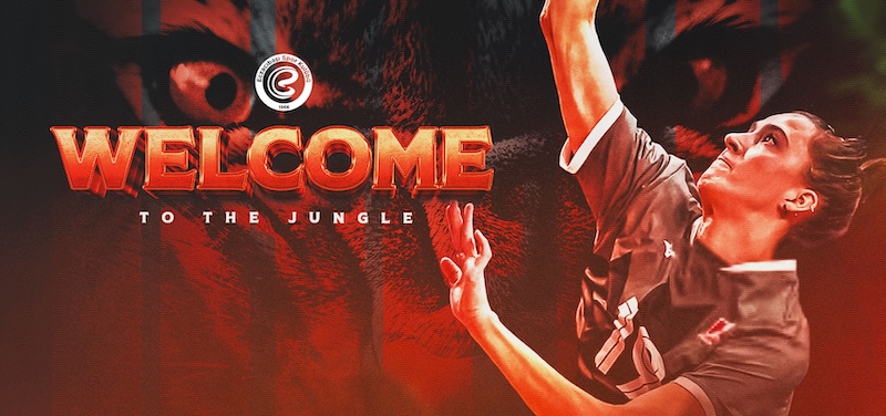 EMİLY MAGLİO ECZACIBAŞI DYNAVİT’TE!