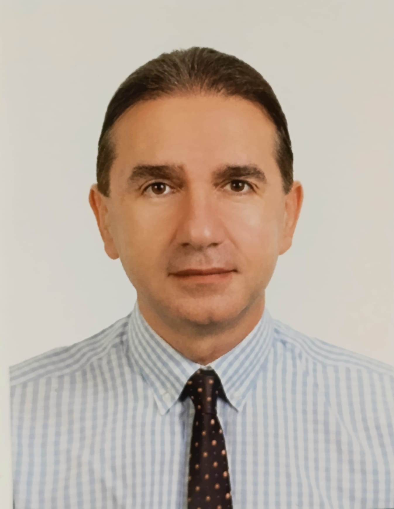 Prof. Dr. Hakan Levent Gül
